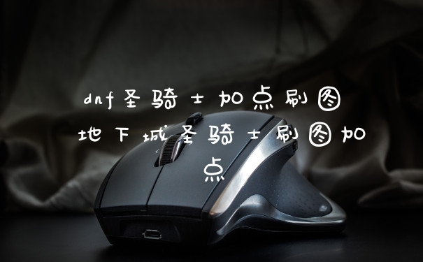 dnf圣骑士加点刷图 地下城圣骑士刷图加点