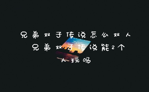 兄弟双子传说怎么双人 兄弟双子传说能2个人玩吗