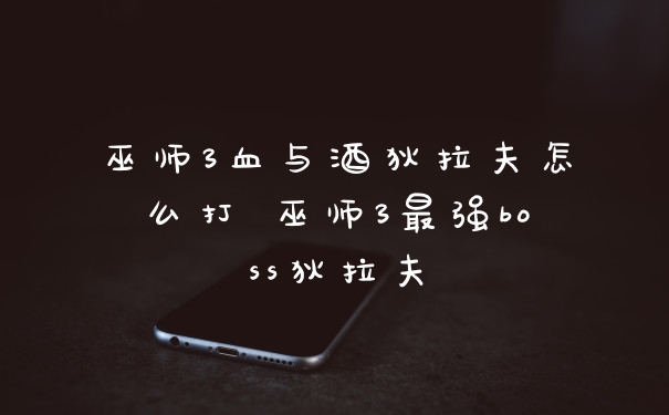巫师3血与酒狄拉夫怎么打 巫师3最强boss狄拉夫