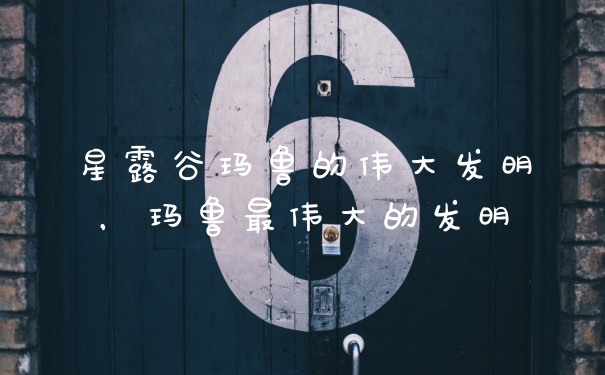 星露谷玛鲁的伟大发明，玛鲁最伟大的发明
