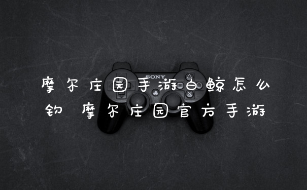 摩尔庄园手游白鲸怎么钓 摩尔庄园官方手游