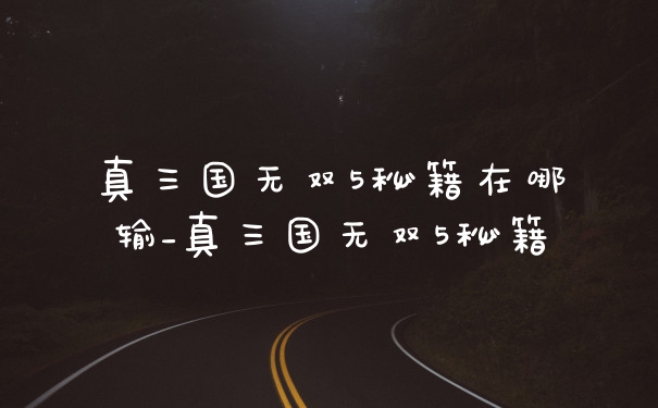 真三国无双5秘籍在哪输_真三国无双5秘籍
