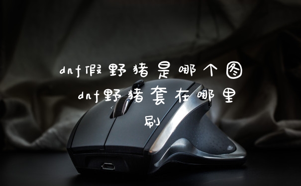 dnf假野猪是哪个图 dnf野猪套在哪里刷