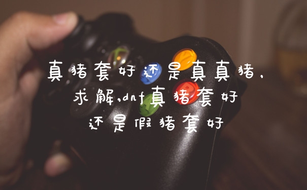 真猪套好还是真真猪，求解,dnf真猪套好还是假猪套好