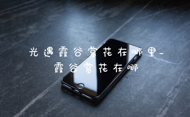 光遇霞谷赏花在哪里_霞谷赏花在哪