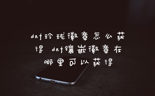 dnf玲珑徽章怎么获得 dnf镶嵌徽章在哪里可以获得