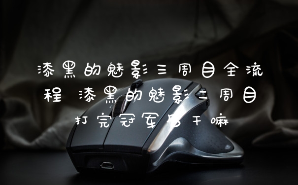 漆黑的魅影三周目全流程 漆黑的魅影二周目打完冠军后干嘛