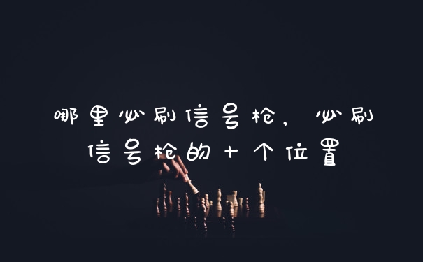哪里必刷信号枪，必刷信号枪的十个位置