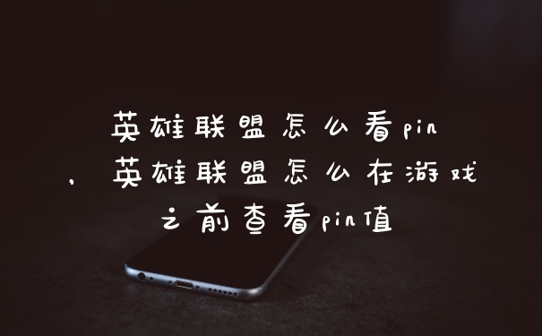 英雄联盟怎么看pin，英雄联盟怎么在游戏之前查看pin值