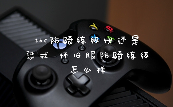 tbc防骑练级快还是惩戒 怀旧服防骑练级怎么样