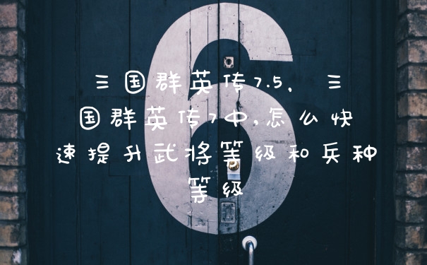 三国群英传7.5，三国群英传7中,怎么快速提升武将等级和兵种等级