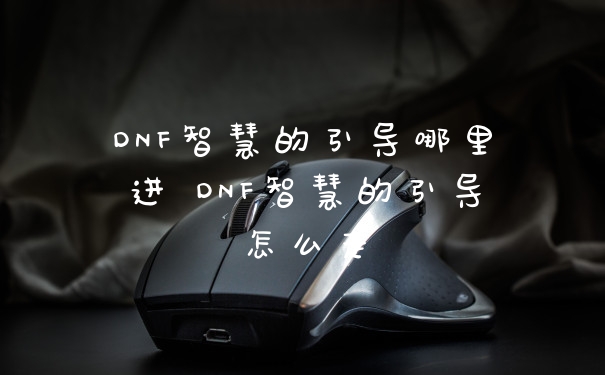 DNF智慧的引导哪里进 DNF智慧的引导怎么走