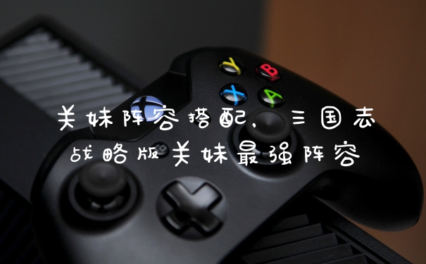 关妹阵容搭配，三国志战略版关妹最强阵容