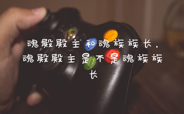 魂殿殿主和魂族族长,魂殿殿主是不是魂族族长