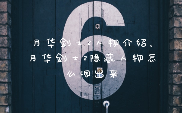 月华剑士2人物介绍,月华剑士2隐藏人物怎么调出来