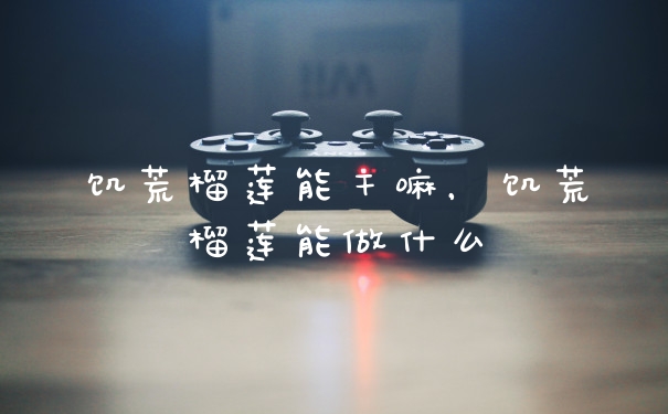 饥荒榴莲能干嘛，饥荒榴莲能做什么