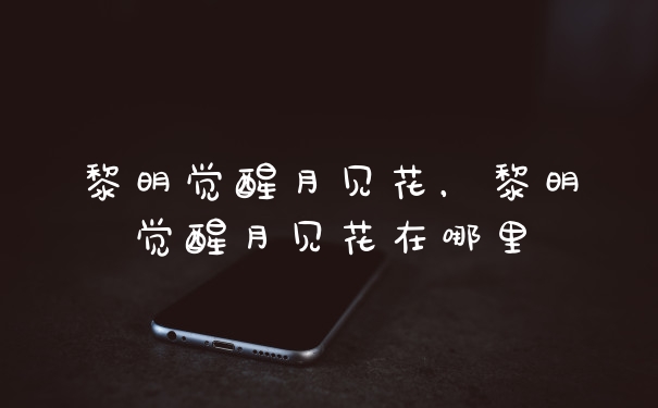 黎明觉醒月见花，黎明觉醒月见花在哪里
