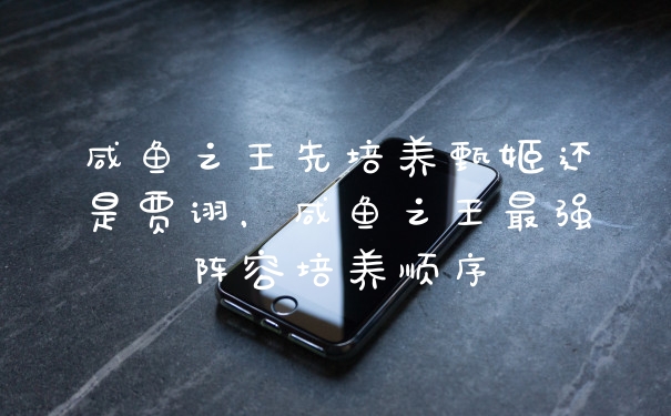 咸鱼之王先培养甄姬还是贾诩,咸鱼之王最强阵容培养顺序