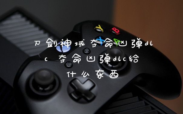 刀剑神域夺命凶弹dlc 夺命凶弹dlc给什么东西