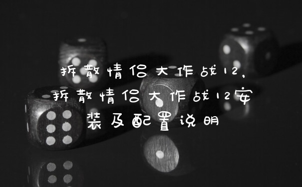 拆散情侣大作战12，拆散情侣大作战12安装及配置说明