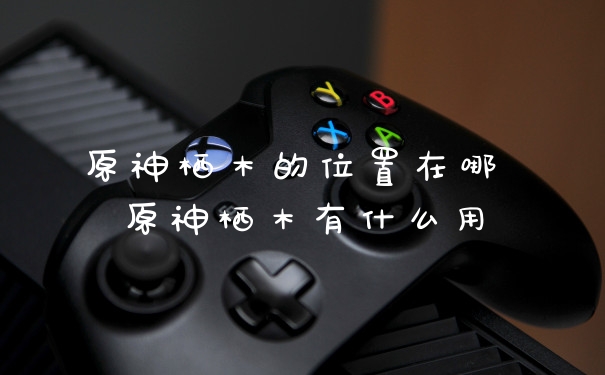 原神栖木的位置在哪 原神栖木有什么用