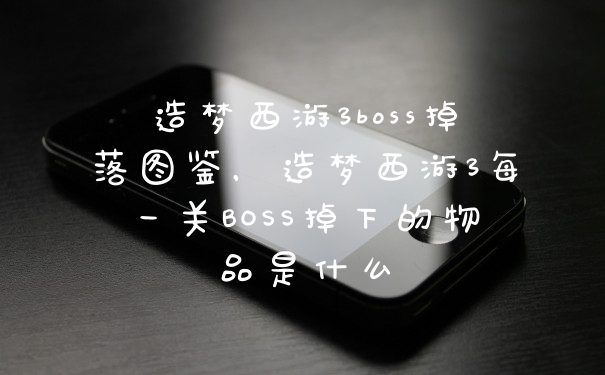 造梦西游3boss掉落图鉴，造梦西游3每一关BOSS掉下的物品是什么