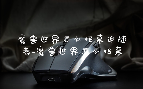 魔兽世界怎么招募追随者_魔兽世界怎么招募