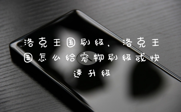 洛克王国刷级，洛克王国怎么给宠物刷级或快速升级