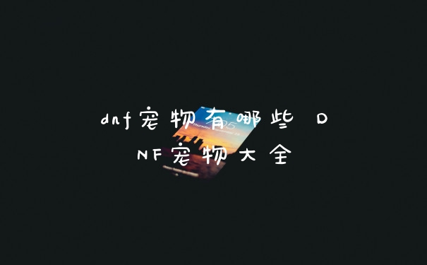 dnf宠物有哪些 DNF宠物大全