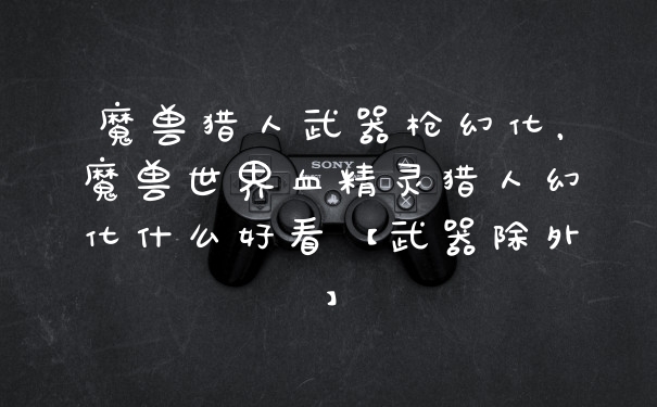 魔兽猎人武器枪幻化，魔兽世界血精灵猎人幻化什么好看【武器除外】