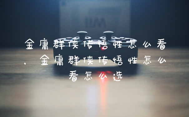 金庸群侠传悟性怎么看，金庸群侠传悟性怎么看怎么选
