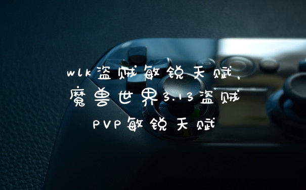 wlk盗贼敏锐天赋，魔兽世界3.13盗贼PVP敏锐天赋