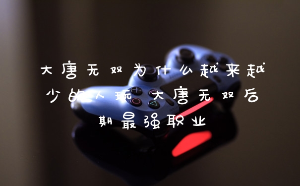 大唐无双为什么越来越少的人玩 大唐无双后期最强职业