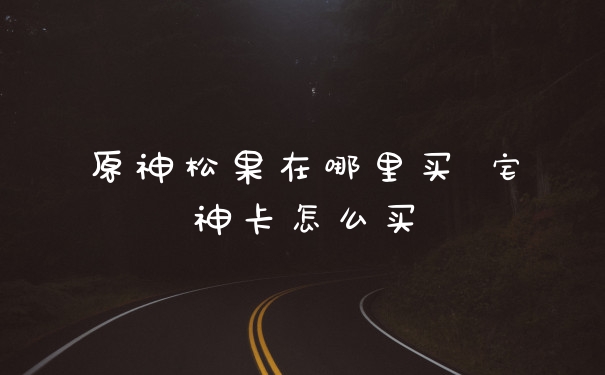 原神松果在哪里买 宅神卡怎么买