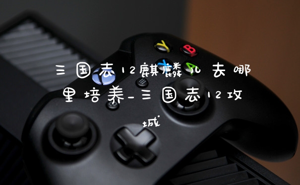 三国志12麒麟儿去哪里培养_三国志12攻城