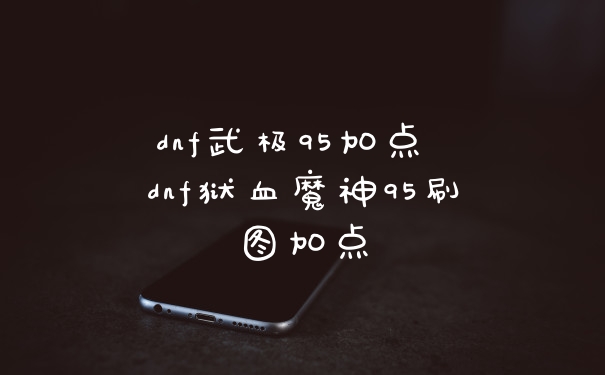 dnf武极95加点 dnf狱血魔神95刷图加点
