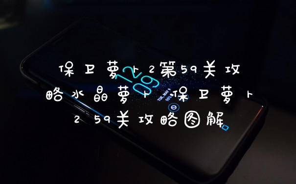 保卫萝卜2第59关攻略水晶萝卜 保卫萝卜2 59关攻略图解