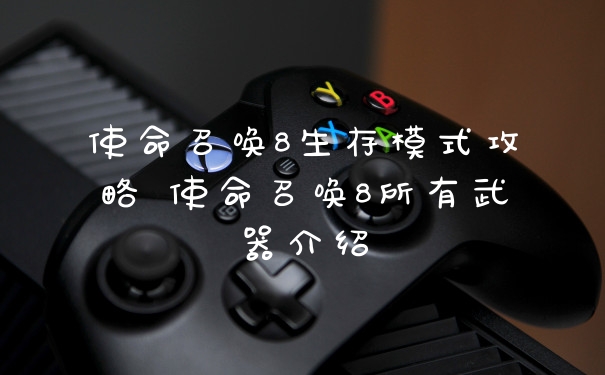 使命召唤8生存模式攻略 使命召唤8所有武器介绍