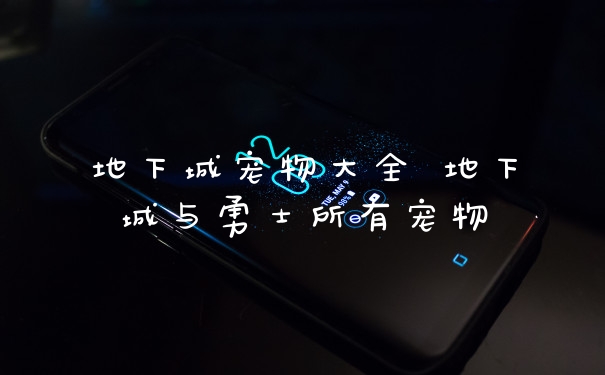 地下城宠物大全 地下城与勇士所有宠物