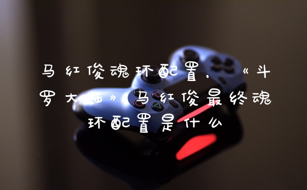 马红俊魂环配置，《斗罗大陆》马红俊最终魂环配置是什么