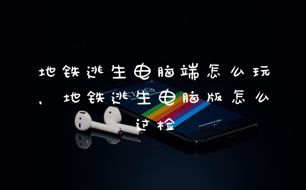 地铁逃生电脑端怎么玩,地铁逃生电脑版怎么过检