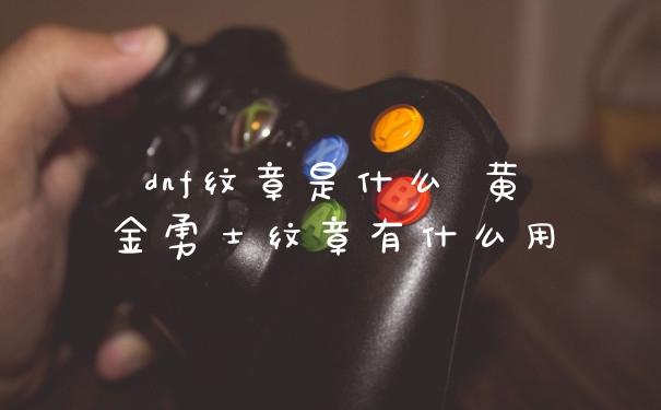 dnf纹章是什么 黄金勇士纹章有什么用