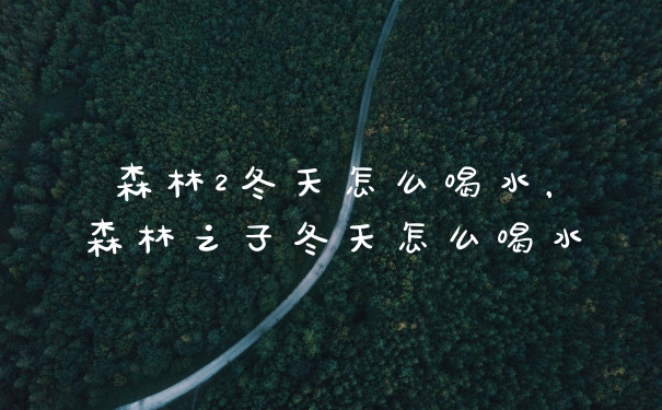 森林2冬天怎么喝水，森林之子冬天怎么喝水