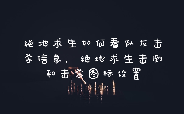 绝地求生如何看队友击杀信息，绝地求生击倒和击杀图标设置