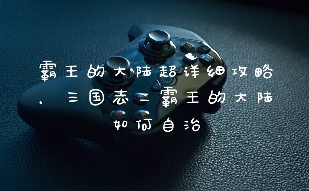霸王的大陆超详细攻略，三国志二霸王的大陆如何自治