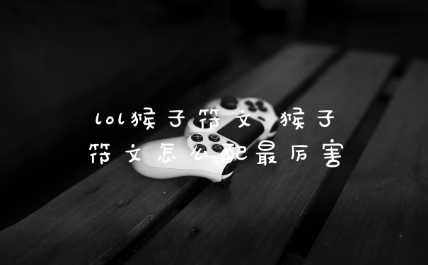 lol猴子符文 猴子符文怎么配最厉害