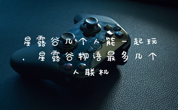 星露谷几个人能一起玩，星露谷物语最多几个人联机