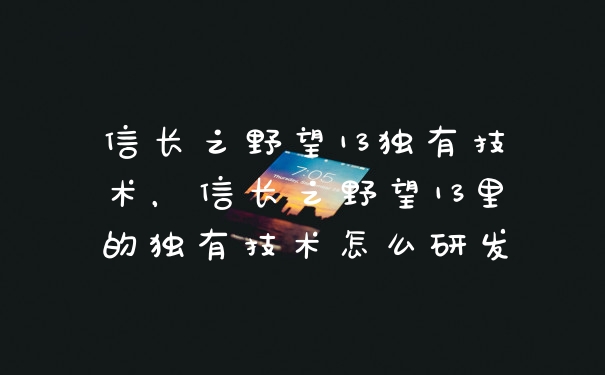 信长之野望13独有技术，信长之野望13里的独有技术怎么研发