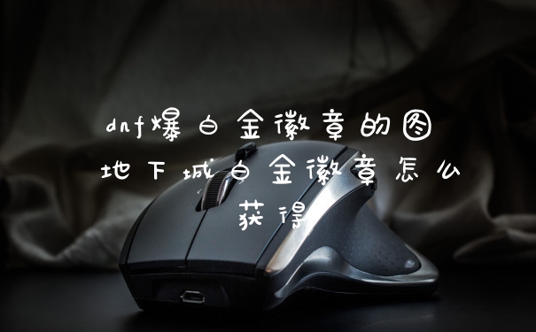 dnf爆白金徽章的图 地下城白金徽章怎么获得