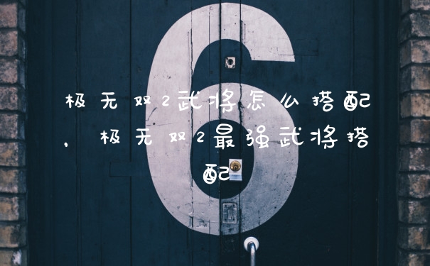 极无双2武将怎么搭配，极无双2最强武将搭配